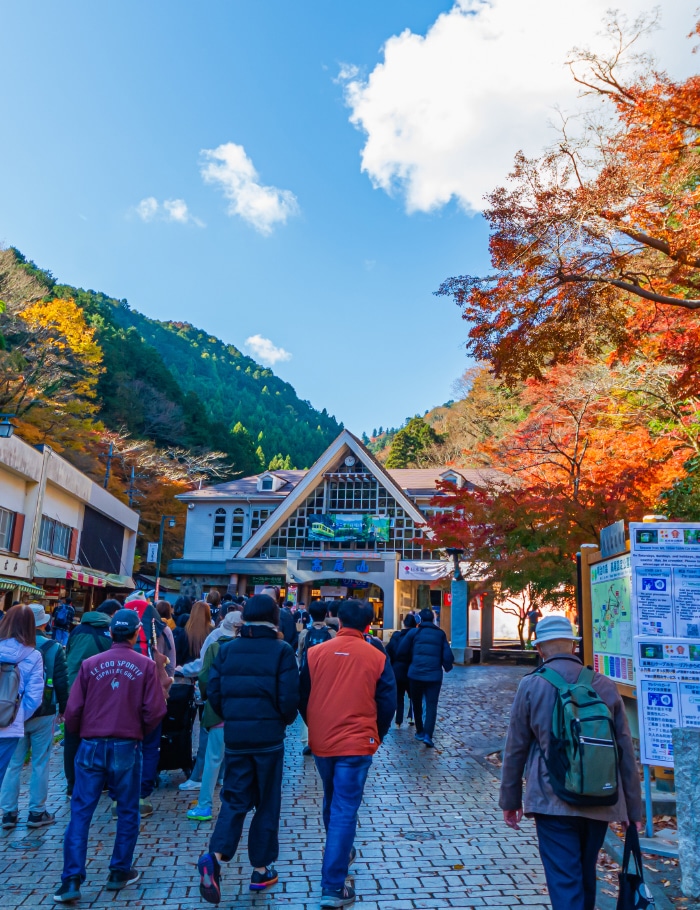 image:日本の四季・文化の魅力を