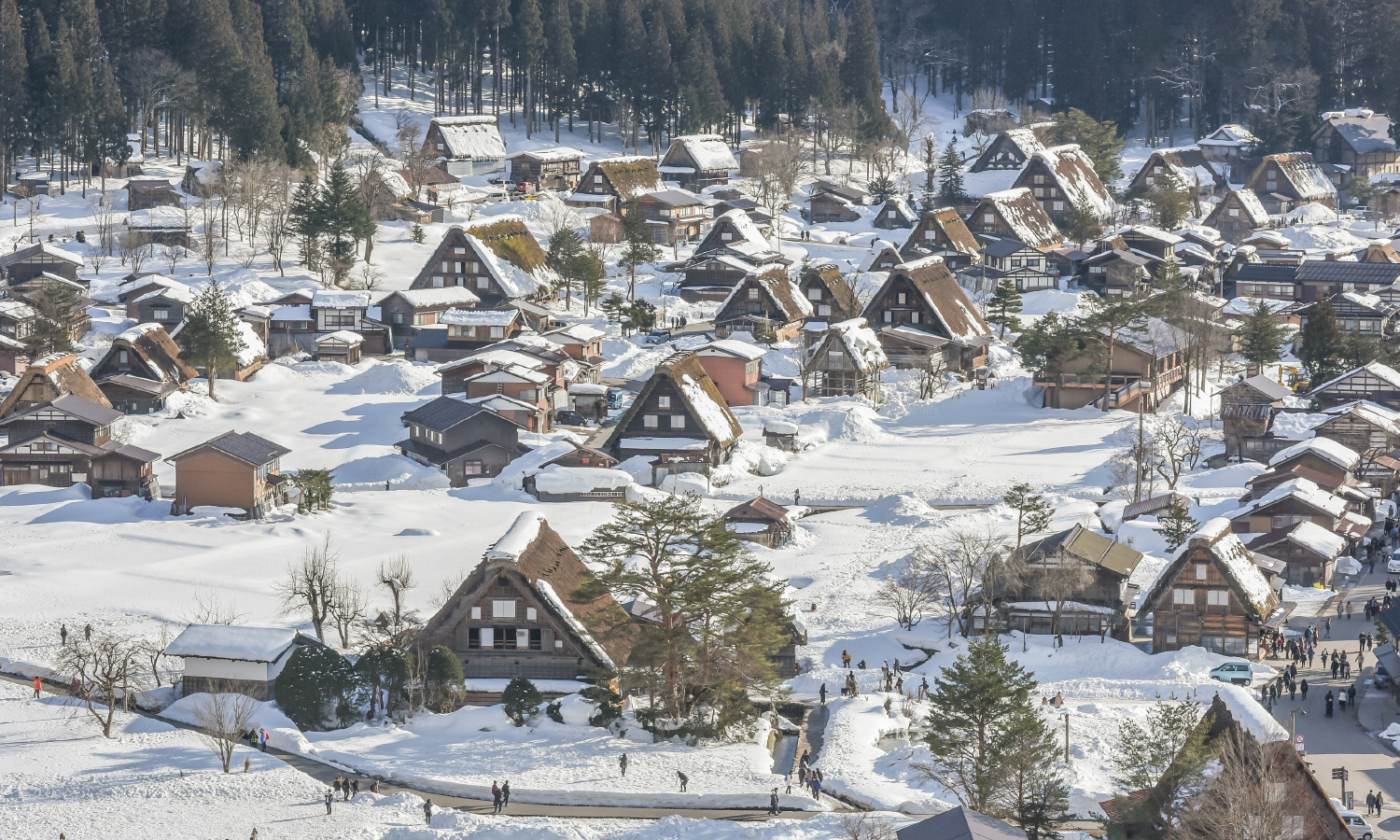 Shirakawago
